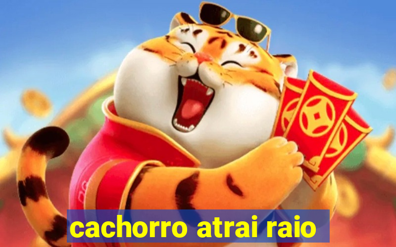 cachorro atrai raio