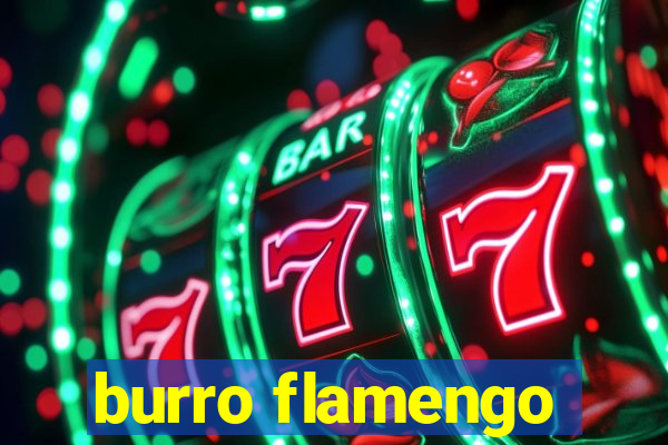 burro flamengo