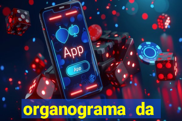 organograma da cacau show