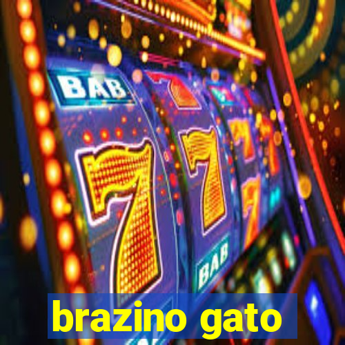 brazino gato