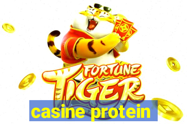 casine protein