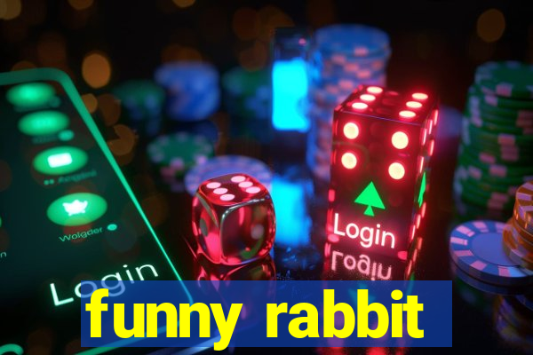 funny rabbit