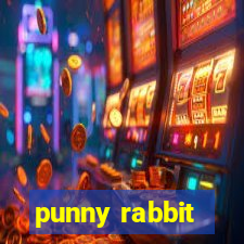 punny rabbit