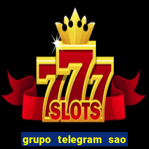 grupo telegram sao jose do rio preto