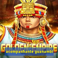 acompanhante guanambi