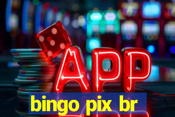 bingo pix br