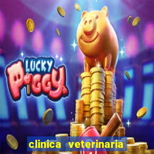 clinica veterinaria cuidar betim