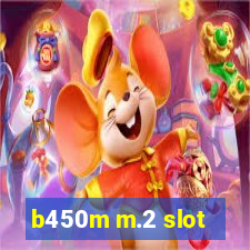 b450m m.2 slot