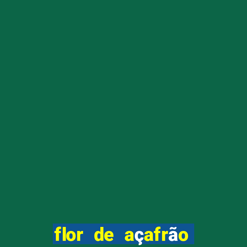 flor de açafrão stardew valley