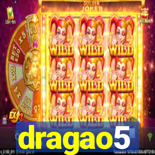 dragao5