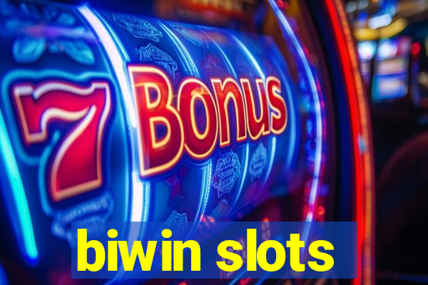 biwin slots