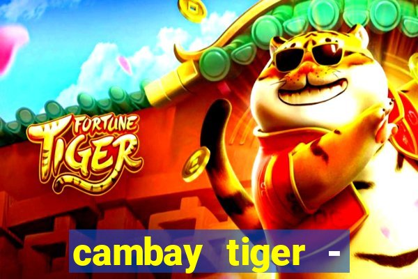 cambay tiger - seafood & meat