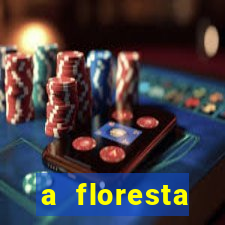 a floresta encantada meme