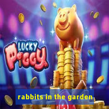 rabbits in the garden