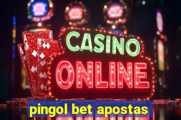 pingol bet apostas