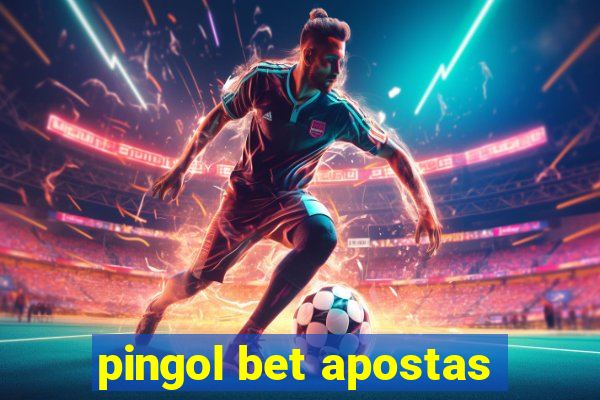 pingol bet apostas