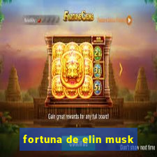 fortuna de elin musk