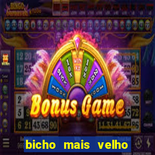 bicho mais velho da loteria dos sonhos