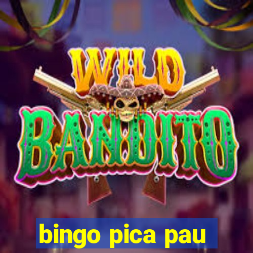 bingo pica pau