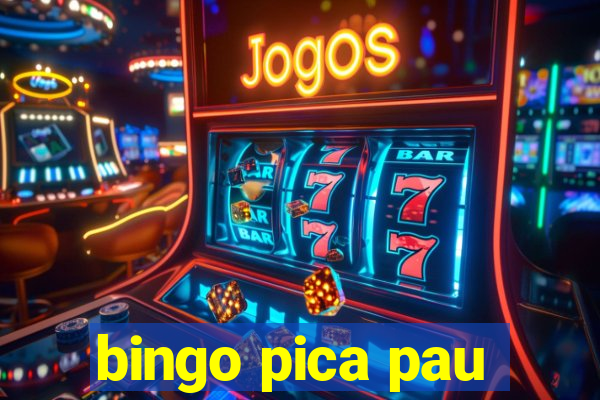 bingo pica pau