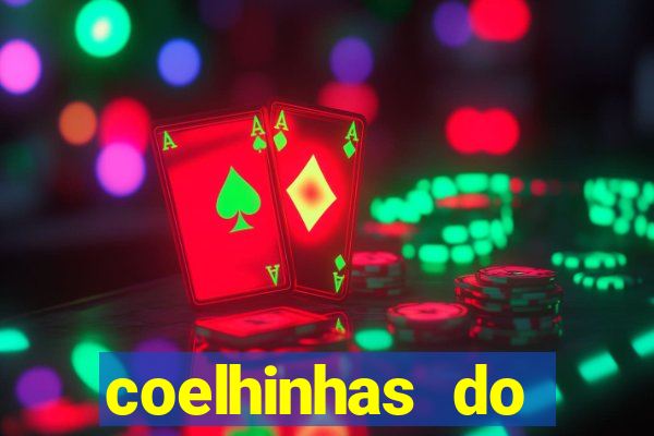 coelhinhas do brasil acompanhantes