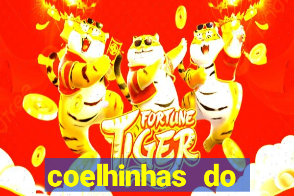 coelhinhas do brasil acompanhantes