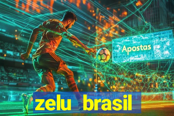 zelu brasil facilitadora de pagamentos ltda jogos