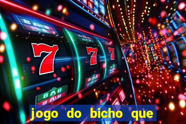 jogo do bicho que da dinheiro