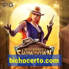 bichocerto.com