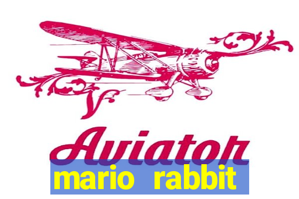 mario rabbit kingdom battle 