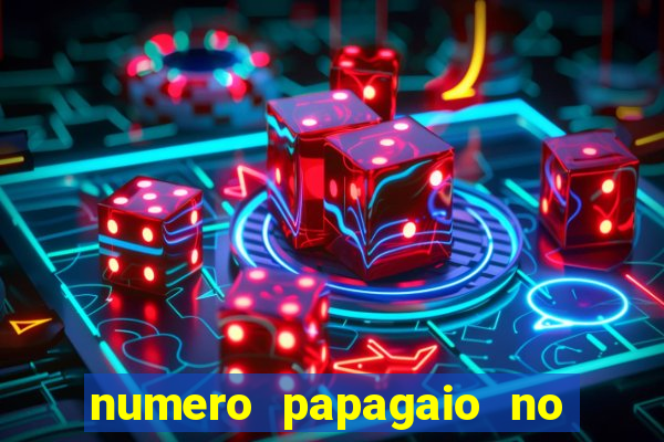 numero papagaio no jogo do bicho