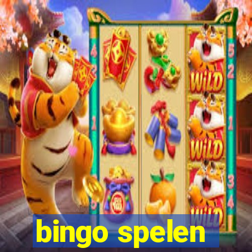 bingo spelen