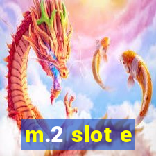 m.2 slot e