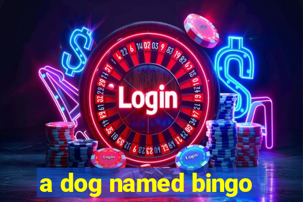 a dog named bingo