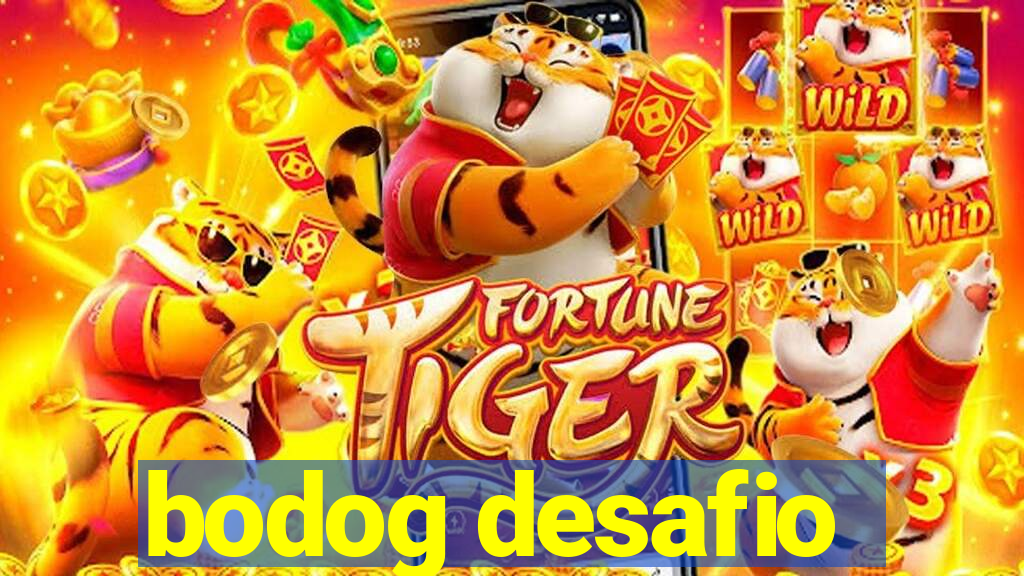 bodog desafio