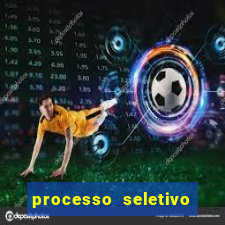 processo seletivo cerejeiras 2024