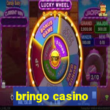 bringo casino