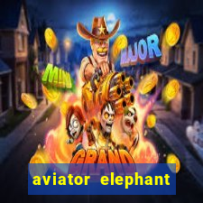 aviator elephant bet login