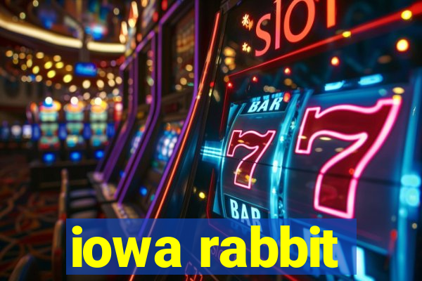 iowa rabbit