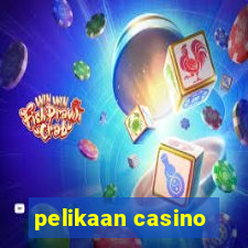 pelikaan casino