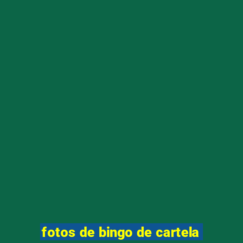 fotos de bingo de cartela