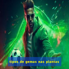 tipos de gemas nas plantas