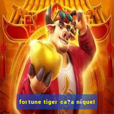 fortune tiger ca?a níquel