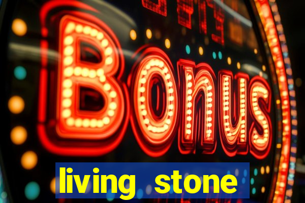 living stone network tv