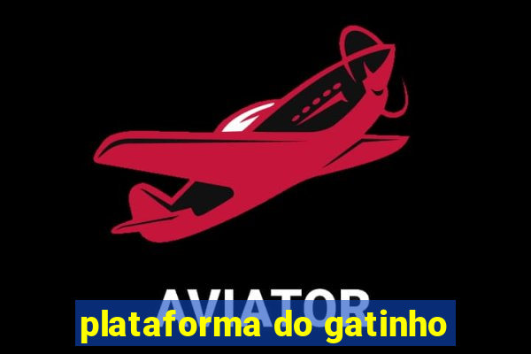 plataforma do gatinho