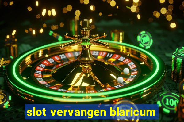 slot vervangen blaricum