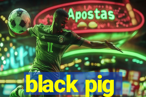 black pig