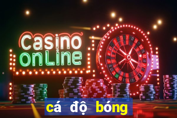 cá độ bóng đá online