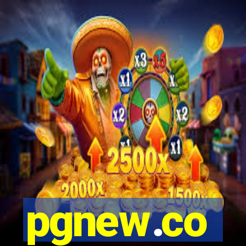 pgnew.co