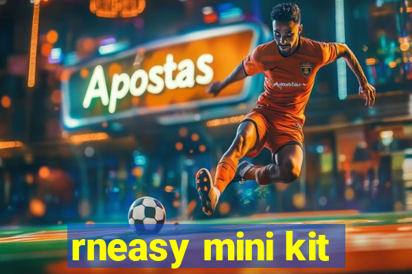 rneasy mini kit